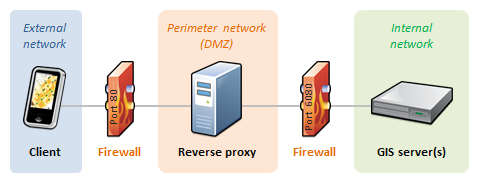 routing, dns, reverse proxy
